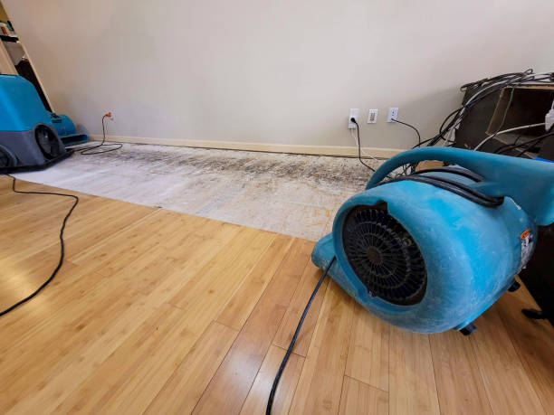 Professional Flood Damage Cleanup technician working in Second Mesa, AZ